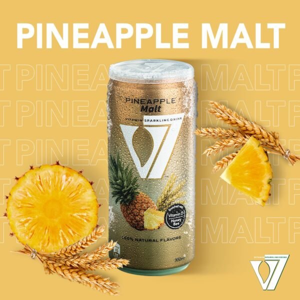 🟡 V7 – Ananas 24 Dosen - Image 2