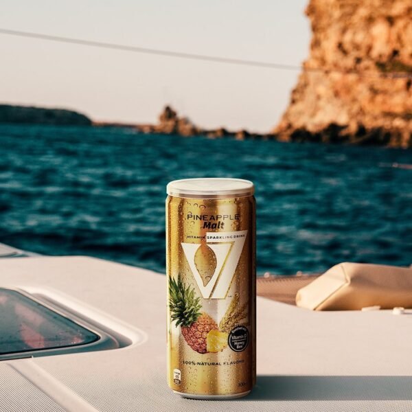 🟡 V7 – Ananas 24 Dosen - Image 3